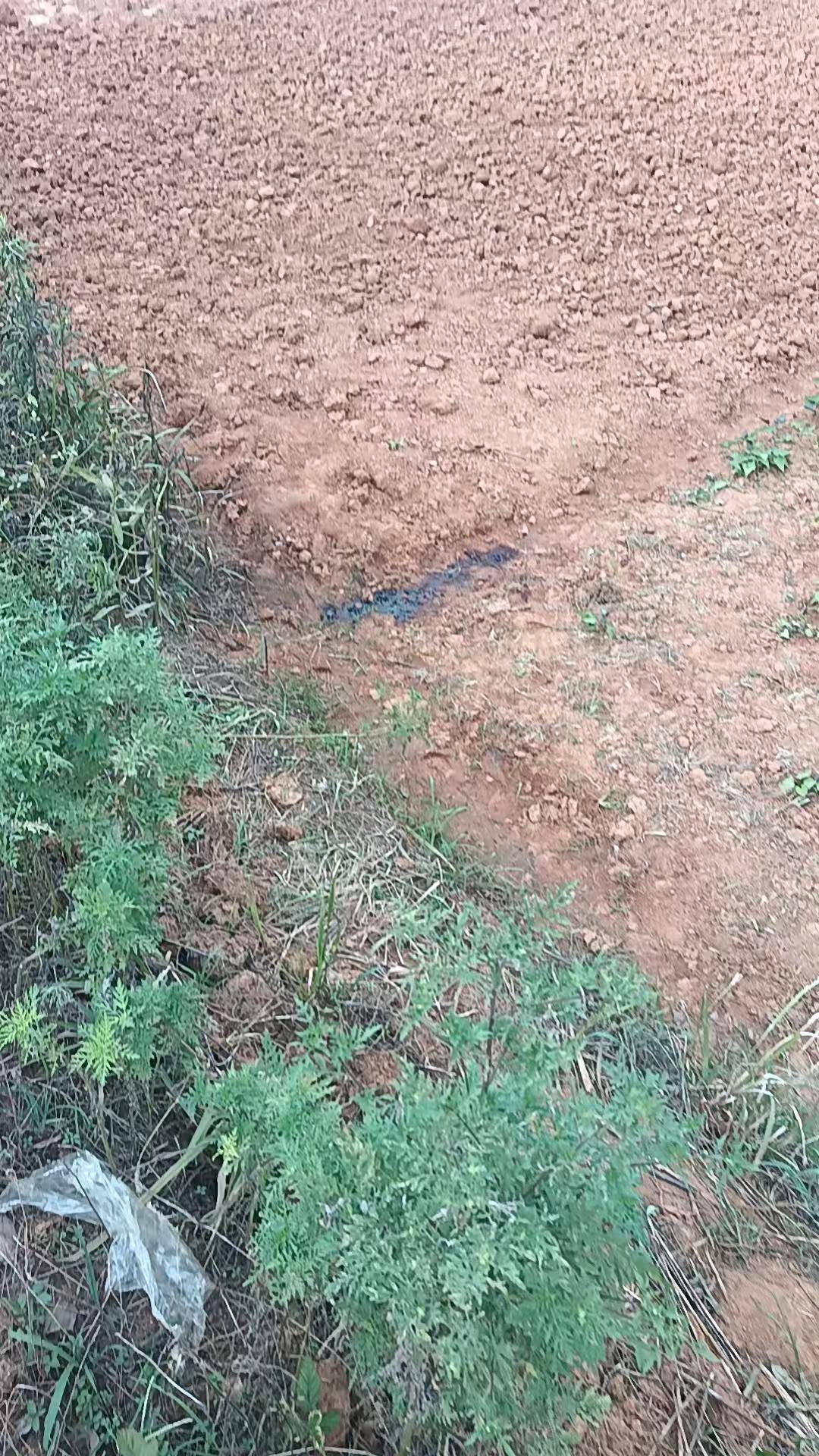 南昌一农民工在农田“方便”时遭气枪击中身亡 工友称“刚蹲下来就出事了”