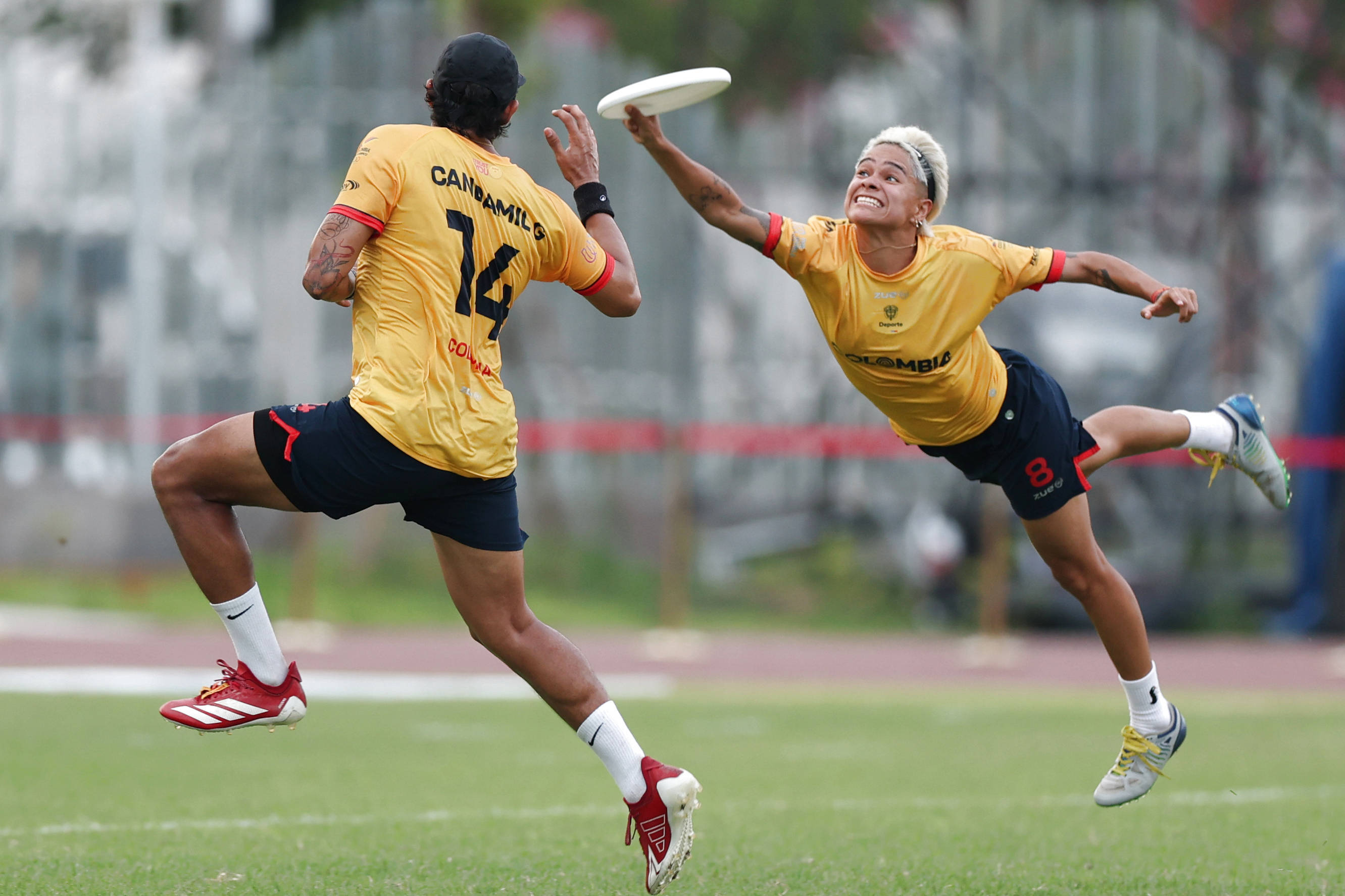 （成都世运会）团队飞盘——预赛：法国队胜哥伦比亚队