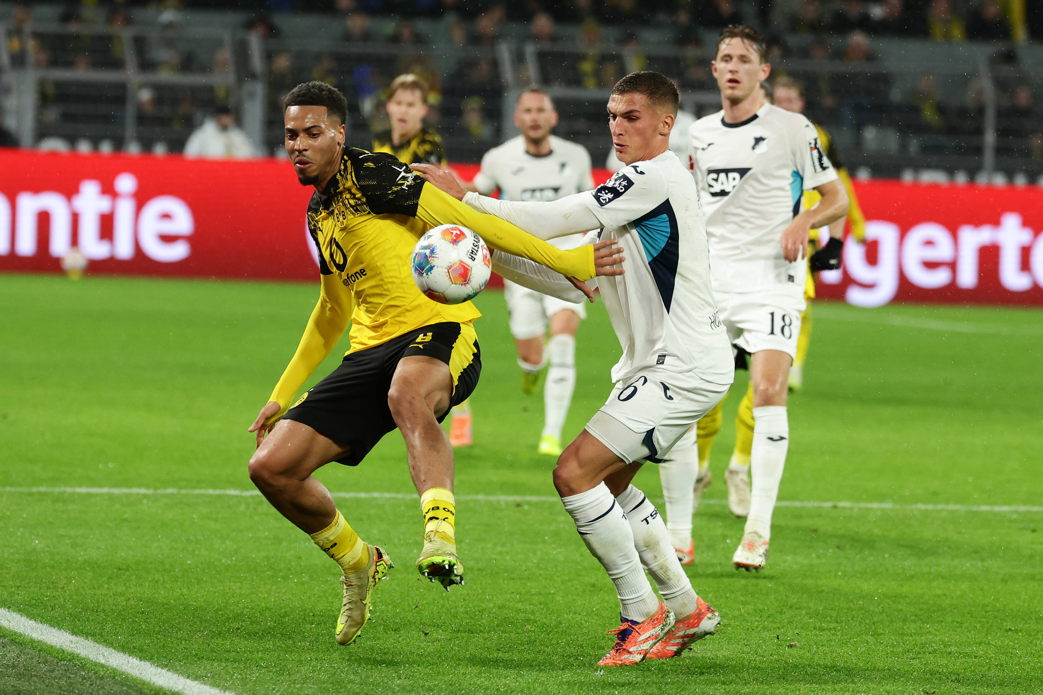 （体育）足球——德甲：多特蒙德胜霍芬海姆